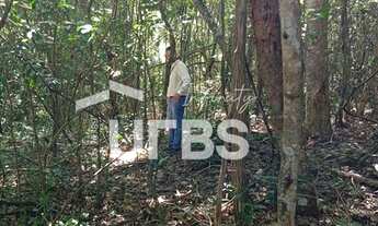 Imagem 6: Oportunidade de chacará com mata exuberante