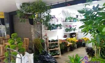 Imagem 3: LOJA - BELA VISTA - SP