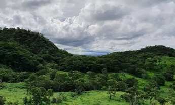 Imagem 4: Fazenda pra Gado 55 Alqueires - Região Lua Nova em Faina - GO