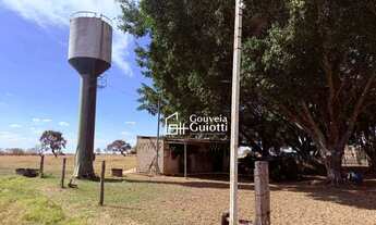 Imagem 5: Fazenda em Alexânia 126 ha Plana, Dupla Aptidão: Pecuária Leiteira e Corte + Agricultura