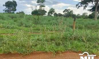 Imagem 6: Fazenda a 150 km Palmas. . 380 Alq. (1.839 Há). Vale do Araguaia