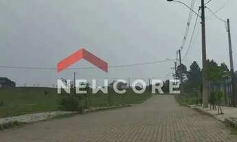 Imagem 4: Lote em Benjamin Constant - Cipó - São Francisco de Paula/RS