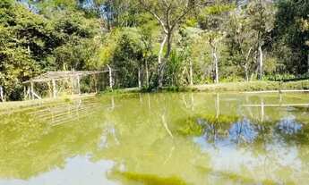 Imagem 2: Imóvel para venda tem 5000 metros quadrados com 4 quartos em C - Crucilândia - MG