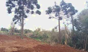 Imagem 5: Chácara em Santa Tereza do Oeste