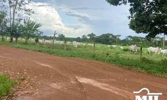 Imagem 3: Fazenda a 150 km Palmas. . 380 Alq. (1.839 Há). Vale do Araguaia