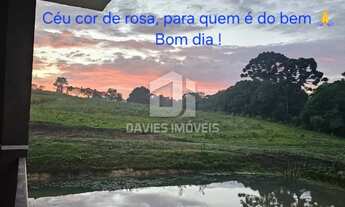 Imagem 7: Vendo chacará com 20.000m² no Bairro Cachoeira em São Jose dos Pinhais, localizada á 8 min