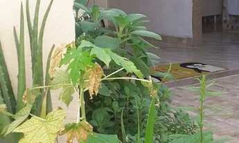 Imagem 3: Oportunidade! Dois excelentes imóveis. 5 Quartos, Laje livre