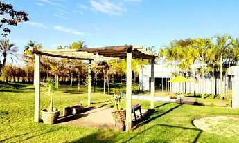 Imagem 3: Excelente Chacara na Principal da Br, Facio Acesso