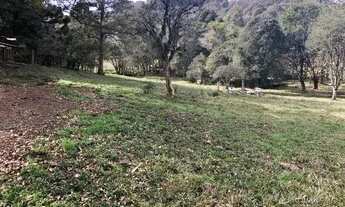 Imagem 2: Área 10.000m² Terreno / lote com venda por R$601.000