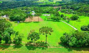 Imagem 2: Lapa, Fazendinha ou Haras, 8 alqueires ou 19,36 hectares, casa sede, piscina, mina, à vend