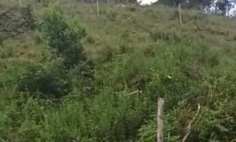 Imagem 4: Sítio Chácara com venda por R$300.000