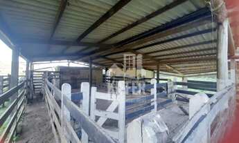 Imagem 6: Fazenda à venda, 2600000 m² por R$ 8.000.000 - Bananeiras - Silva Jardim/RJ