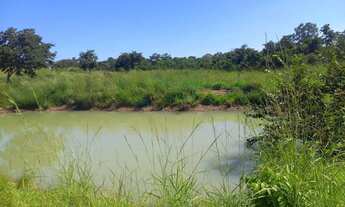 Imagem 3: Chácara de 2,9 hectares toda no cerradão bruto sem benfeitorias, toda cercada