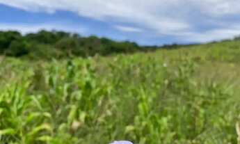 Imagem: Lote com excelente aproveitamento de 500