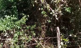 Imagem 2: Vende-se terreno Medindo 49 x100