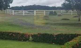 Imagem 6: CHÁCARA COMERCIAL / RESIDENCIAL - VENDA, Comunidade Genésio, Zona Rural - Chapada dos Guim