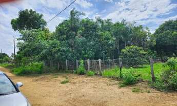 Imagem 3: Duas chácaras juntas em aragoiânia