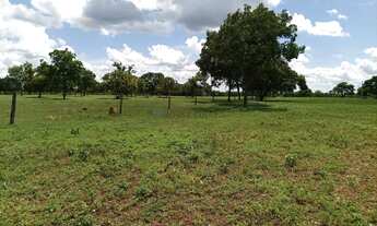 Imagem 2: Fazenda dupla aptidão com 243 hectares na região da terra vermelha 4 km do distr