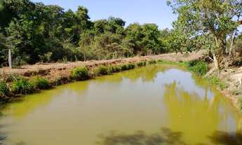 Imagem 2: Chacara de 2 alqueires formada com represa tanque de peixe riacho a 85 km de goiania