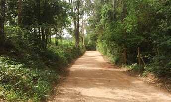 Imagem 2: Áreas 5.000 m² Mateus Leme