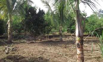 Imagem 4: Oportunidade de adquirir seu sitio em meio à natureza, Baldim (Temos varias opções)