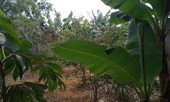 Imagem 3: Lote com 240MTs Terreno / lote com venda por R$120.000