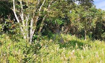 Imagem 4: Terreno à venda, 685 m² por R$ 470.000,00 - Praia da Ferrugem - Garopaba/SC