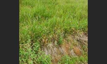 Imagem 4: Chacará Terreno / lote com venda por R$30.000