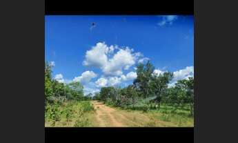 Imagem 3: Fazenda 1500 alqueires 150 km de Palmas Tocantins