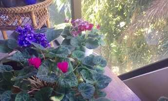 Imagem 2: Apartamento para venda de 206m², 3 dormitórios, sendo 1 suíte e 2 vagas no Morumbi