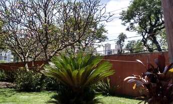 Imagem 7: CASA ASSOBRADADA - PACAEMBÚ - SP