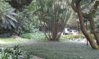 Imagem 2: Apartamento Residencial à venda, Vila Suzana, São Paulo - AP0208