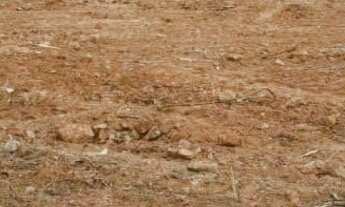 Imagem 3: Terreno no Ipiranga- São Paulo