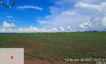 Imagem 6: Fazenda à venda, 2.461 hectares por R$ 25.650.000 - Zona Rural - Pedra Preta/MT