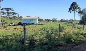 Imagem 12: Fazenda à venda, 120 alqueires por R$ 4.200.000 - Guará - Guarapuava/PR
