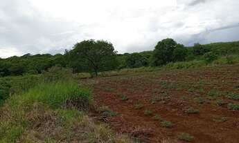 Imagem 5: Vendo uma chácara em Jaraguari