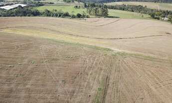 Imagem 5: Fazenda 39 Alqueires, Próximo Itapetininga-Sp