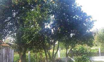 Imagem 6: Casa e terreno Vila Rural