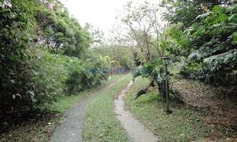 Imagem 5: Chácara - Chácaras Alpina - Valinhos