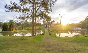 Imagem: CHÁCARA GIRASSOL RECREAÇÃO E LAZER
