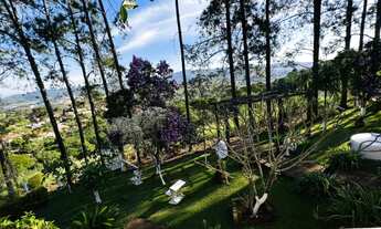 Imagem 4: Chácara para venda tem 2500 metros quadrados