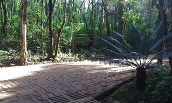 Imagem 7: Área em Macacos Nova Lima