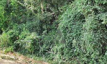 Imagem 2: Terreno à venda, 25426 m² por R$ 1.500.000,00 - Macacú - Garopaba/SC