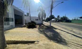 Imagem 7: Oportunidade terrenos na pecuária