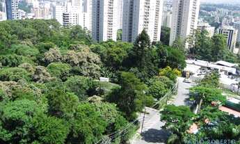 Imagem: APARTAMENTO - MORUMBI - SP