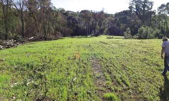 Imagem 11: Fazenda à venda, 120 alqueires por R$ 4.200.000 - Guará - Guarapuava/PR