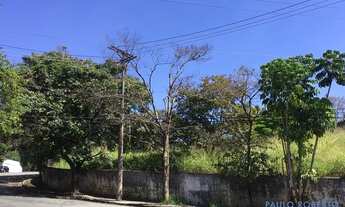 Imagem: TERRENO - CIDADE JARDIM - SP