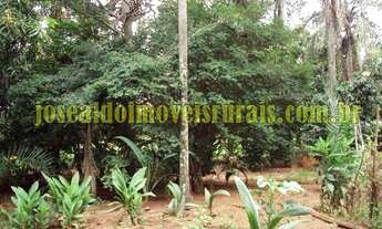 Imagem 4: Sítio 7,25 alqueires, 100% plano, formado, 19 km de Monte Alegre