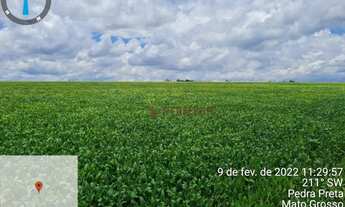 Imagem 3: Fazenda à venda, 2.461 hectares por R$ 25.650.000 - Zona Rural - Pedra Preta/MT