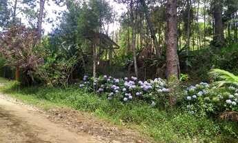 Imagem 2: VENDA!!! MARAVILHOSA CHÁCARA